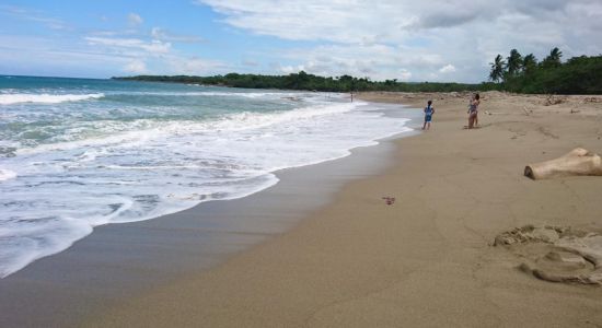 Playa de Cangrejo II