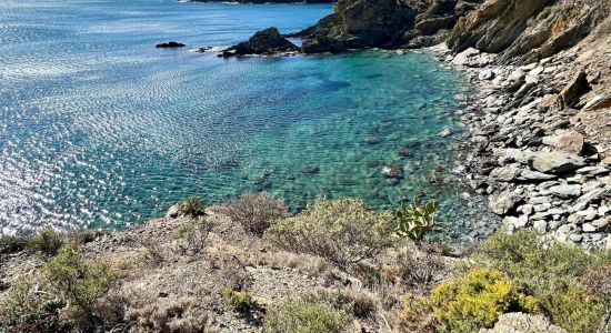 Plage Anse Sainte-Catherine