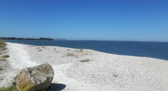 Plage de l'Anse de Pampin