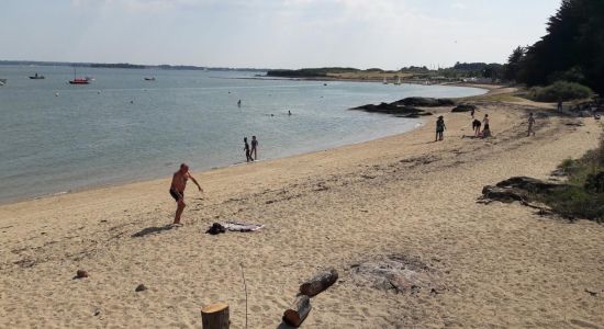 Plage de Penera