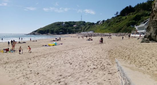 Plage de la Potiniere