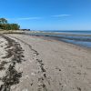 Plage de Jonville