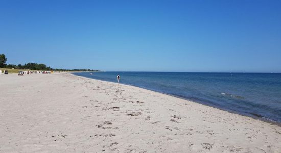 Kronsgaard Spiaggia