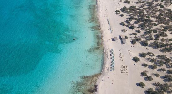 Spiaggia d'oro