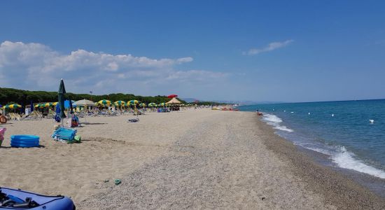 Spiaggia Salicetti