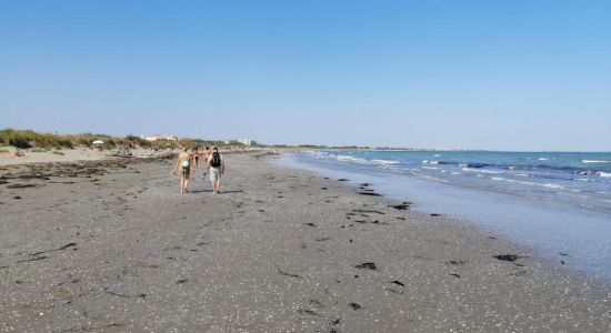 Spiaggia degli Alberoni