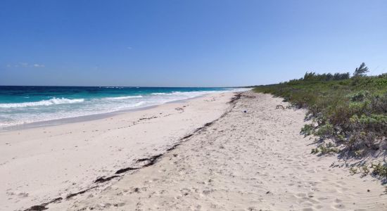 Airport beach