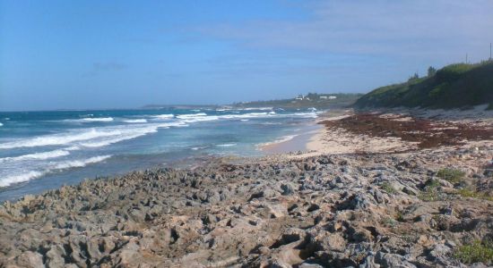 James Point beach