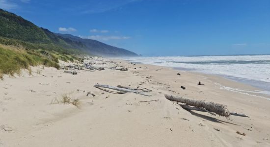 Heaphy Hut Beach