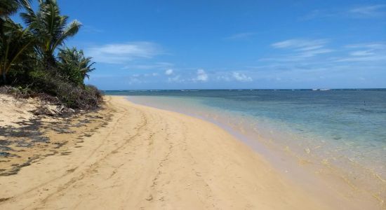 Spiaggia di Punta Bandera