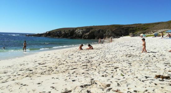 Playa de Arnado