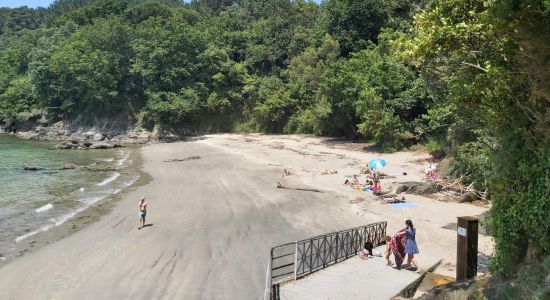 Playa de Almieiras