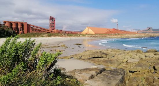 Praia Limosa