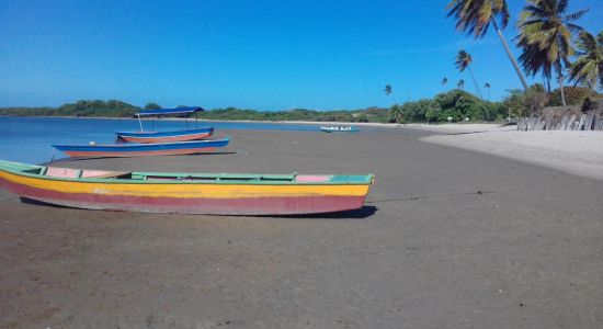 Spiaggia di Rio Mamanguape