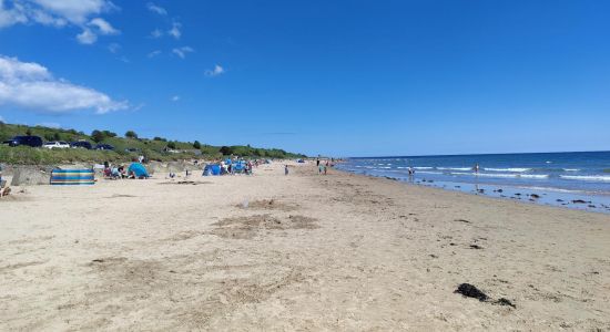 Spiaggia di Alnmouth