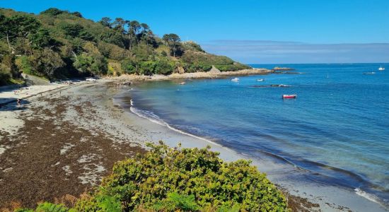 Portelet Beach Guernsey