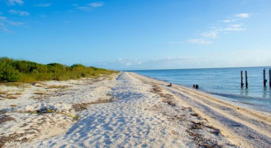 East Cape beach