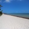 Cocoa Plum beach