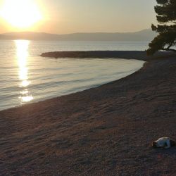 Foto di Adriatic II beach area servizi