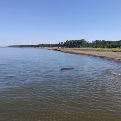 Foto di Ureki Nature beach zona selvaggia