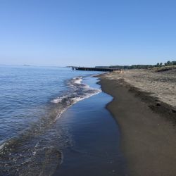 Foto di Ureki Nature beach ubicato in zona naturale