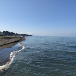 Foto di Ureki Nature beach con sporco livello di pulizia