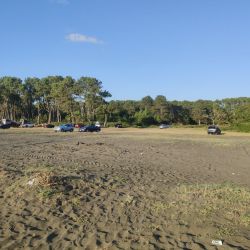 Foto di Ureki Nature beach con dritto e lungo